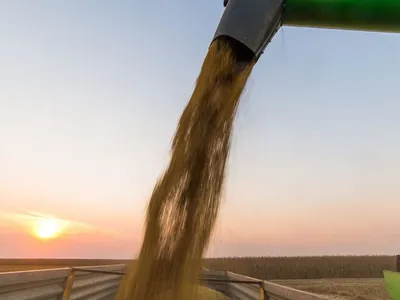 Argentina deve produzir 51 milhões de toneladas de soja na Safra 23/24