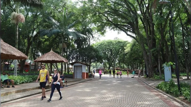 Todos os bosques e parques da cidade abrem normalmente 
