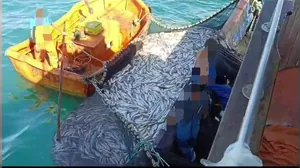 PM apreende mais de 33 toneladas de peixes em pesca ilegal, em Ubatuba
