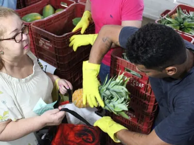 Araçatuba distribui alimentos saudáveis para mais de 10 mil pessoas