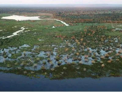Estiagem no Pantanal pode ser uma das mais severas em 2024