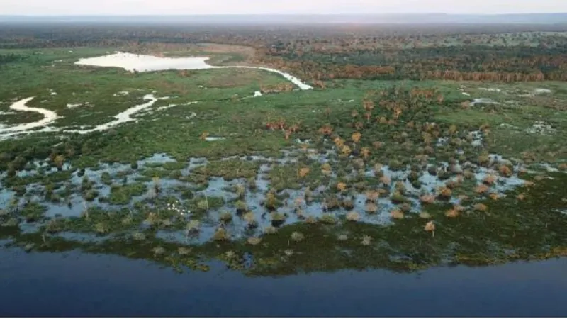 Pantanal pode ter seca muito severa, alertam autoridades