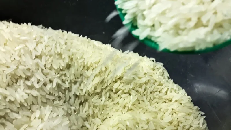 Agricultura estuda negociação com fornecedores após pregão para compra de arroz