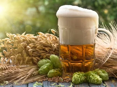 Brasil tem 771 cidades com uma cervejaria instalada, aponta Sindicerv