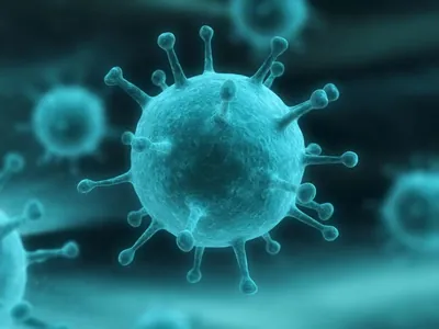 Vírus da influenza A apresenta grande aumento nas últimas semanas
