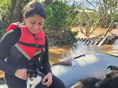 SOS resgate: a ajuda que não consegue chegar a cães e gatos no RS