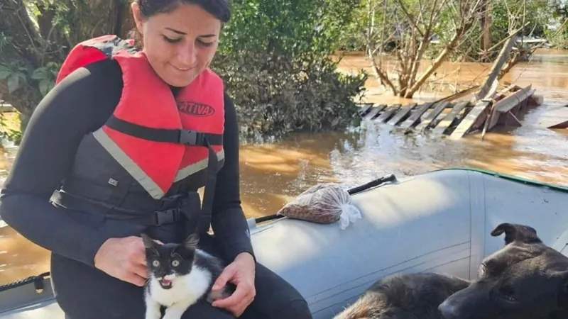 SOS resgate: a ajuda que não consegue chegar a cães e gatos no RS