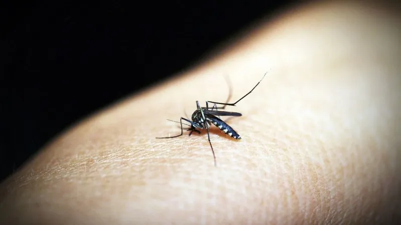 Piracicaba confirma 9ª morte por dengue em 2024