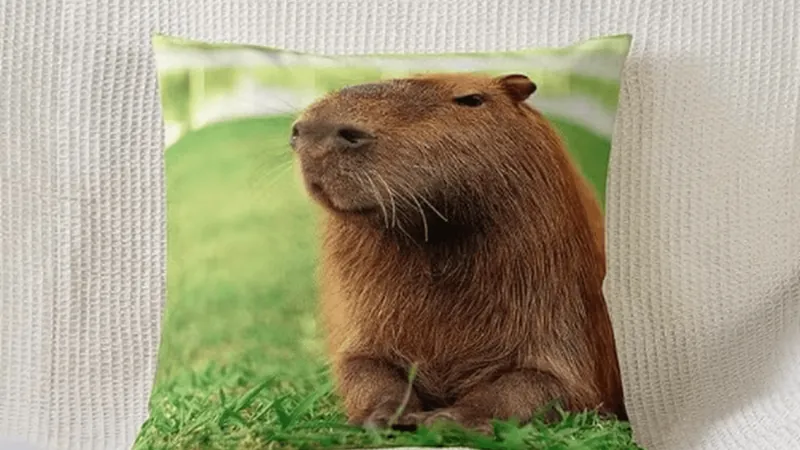 Capivara vira estampa de almofada e fica famosa mundialmente