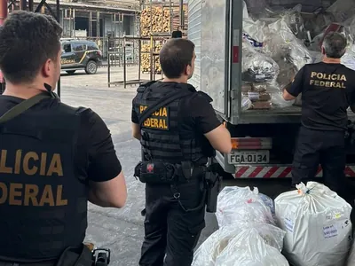 PF incinera 410 kg de drogas e outras substâncias ilícitas em Nova Odessa 