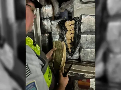 Polícia apreende mais de 260 quilos de maconha em Boituva 