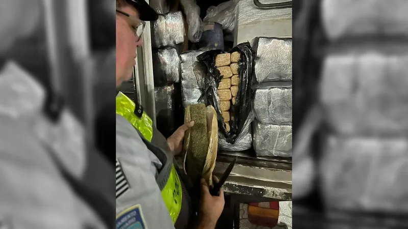 Polícia apreende mais de 260 quilos de maconha em Boituva