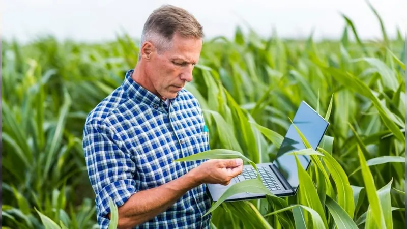 Faculdade de Campinas e Embrapa promovem palestras gratuitas sobre agronomia