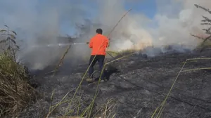 Incêndio em vegetação em Taubaté mobiliza Defesa Civil e Corpo de Bombeiros