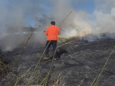 Incêndio em vegetação em Taubaté mobiliza Defesa Civil e Corpo de Bombeiros