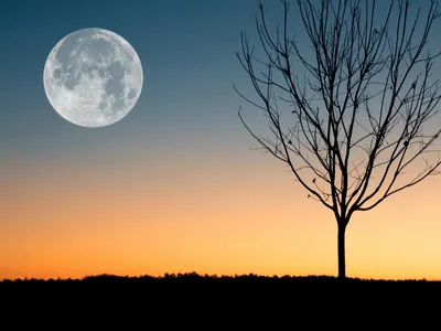 Saiba quais são as Luas cheias mais poderosas do ano