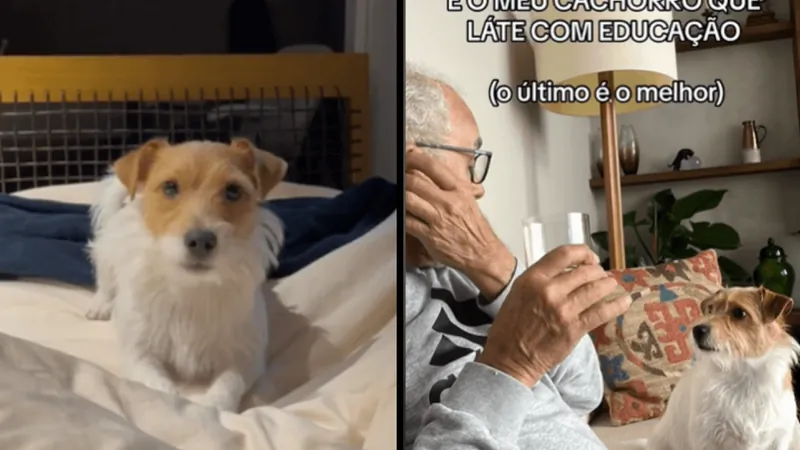 Cachorro viraliza na internet por 'latir com educação'