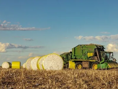 O que o agro da Bahia tem? Como o algodão transformou a agricultura na região oeste da Bahia