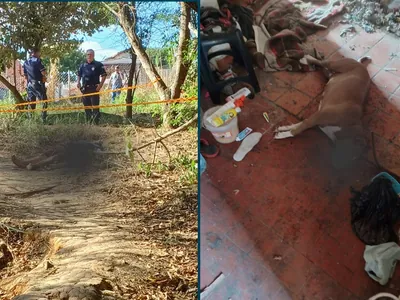 Homem e cachorra são encontrados mortos a tiros em Jaguariúna 