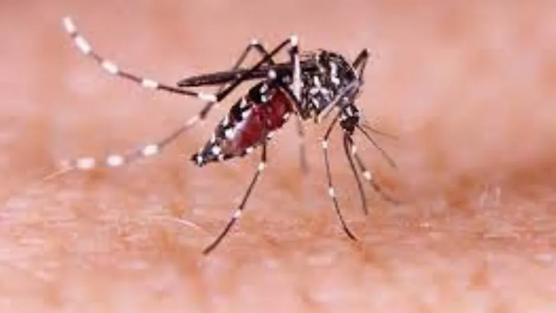Tupã tem o primeiro caso confirmado para chikungunya este ano