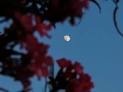 Lua Cheia em Sagitário é uma das mais importantes do ano; entenda mudanças