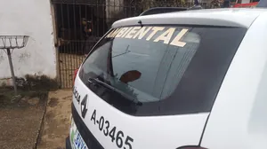 Maus-tratos a animais em Potim: dois cães resgatados e homem preso