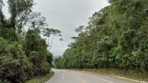 Ciclista morre após ser atropelada na rodovia Rio-Santos em Ubatuba