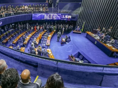 Randolfe Rodrigues: Governo vai trabalhar pelo arquivamento da "PL do Aborto"