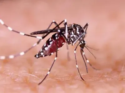 Olímpia confirma a quarta morte por dengue este ano