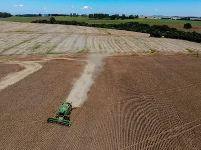 Vazio sanitário da soja inicia neste domingo em algumas regiões do Paraná