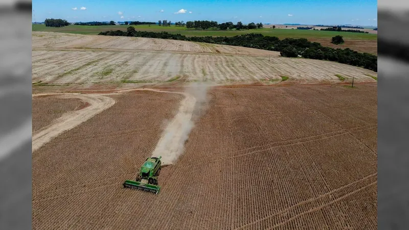 Vazio sanitário da soja inicia neste domingo em algumas regiões do Paraná