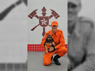 Corpo de Bombeiros abre votação para escolher nome do novo cão da corporação