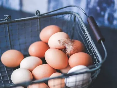 Reino de Lesoto anuncia abertura de mercado para ovos e aves vivas brasileiras