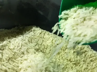 Polícia Federal vai investigar leilão da Conab para importar arroz
