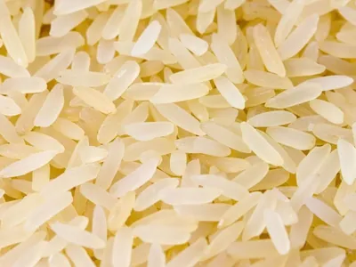 Fávaro diz que governo não vai mais comprar arroz e produtores terão crédito