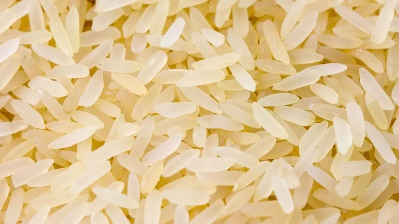 Leilão de arroz foi anulado por falta de experiência das empresas, diz especialista