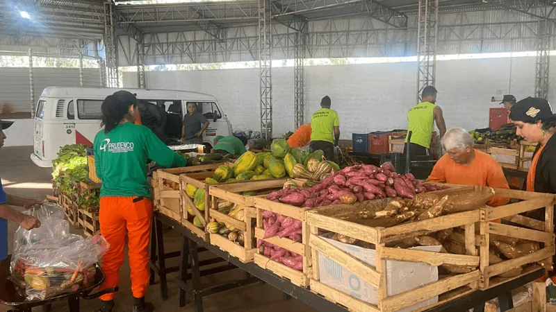 Programa de Aquisição de Alimentos entrega 13 toneladas de produtos