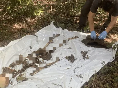 Polícia localiza ossada humana em mata de Bauru
