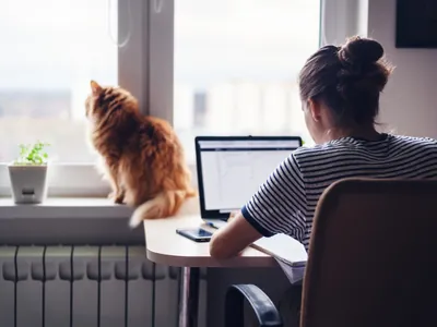 Trabalhando em Casa com Pet: Como Manter a Rotina e a Produtividade