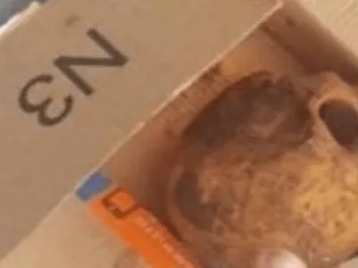 Crânio humano é encontrado dentro de uma caixa em São José dos Campos