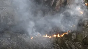 Parte Baixa do Parque Nacional de Itatiaia já está liberada para visita após incêndio