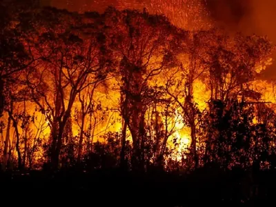 Agropecuária tem prejuízo de R$ 17 milhões com incêndios no Pantanal