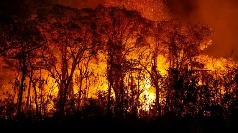 Fumaça de incêndios da Amazônia e Pantanal se espalha pelo Brasil