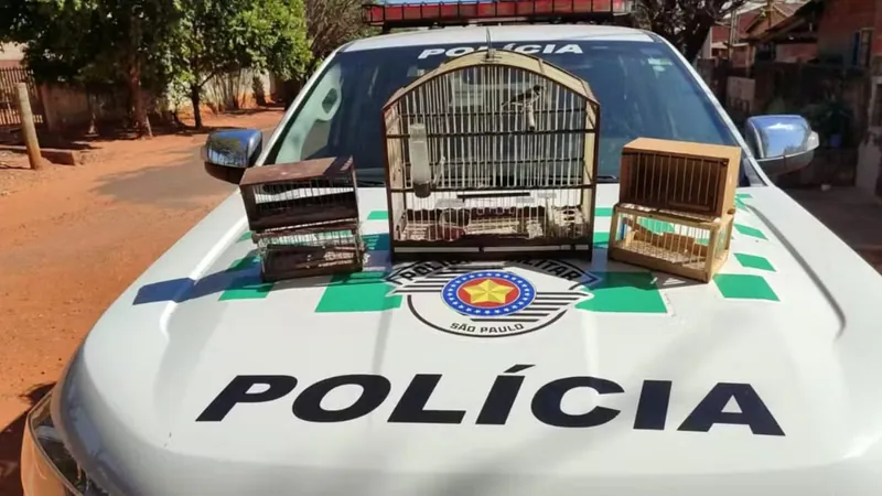 Homem é multado por manter aves em cativeiro em Ouro Verde