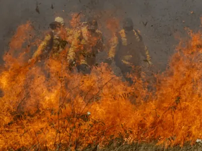 Entenda causas das queimadas históricas que ocorrem no Pantanal