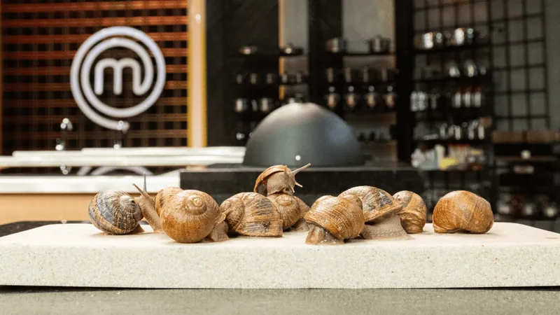 O que é escargot? Saiba tudo sobre o molusco usado na alta gastronomia