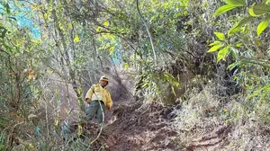 Exército é multado por conta de um incêndio que atingiu parte do Parque Nacional do Itatiaia