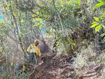 ICMBio multa Exército em 6,5 milhões por incêndio florestal em parque