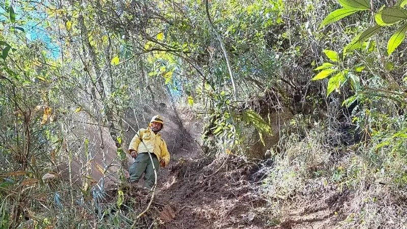 ICMBio multa Exército em 6,5 milhões por incêndio florestal em parque