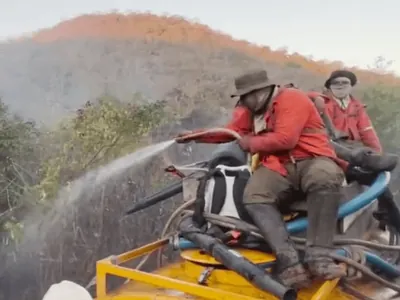 Brigadista relata drama para apagar incêndios no Pantanal: "Tem que combater"